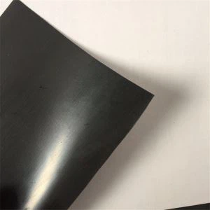 HDPE sile Geomembrane