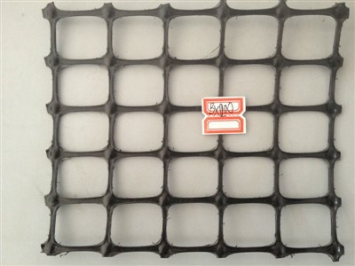 Polüpropüleenist (PP) kaheteljeline geovõrk